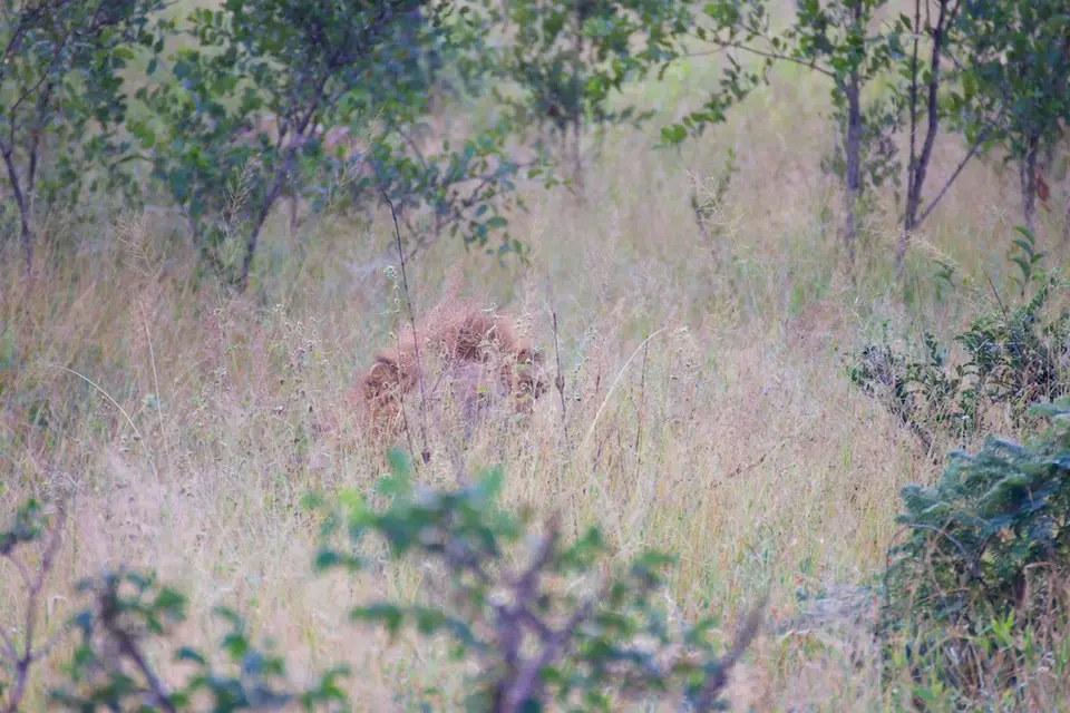 KNP088-2.jpg