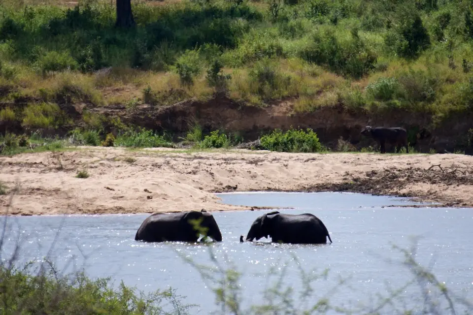 KNP089.jpg