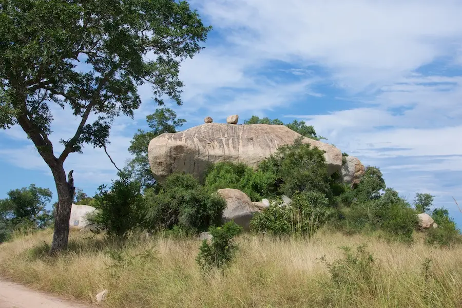KNP097-2-3.jpg