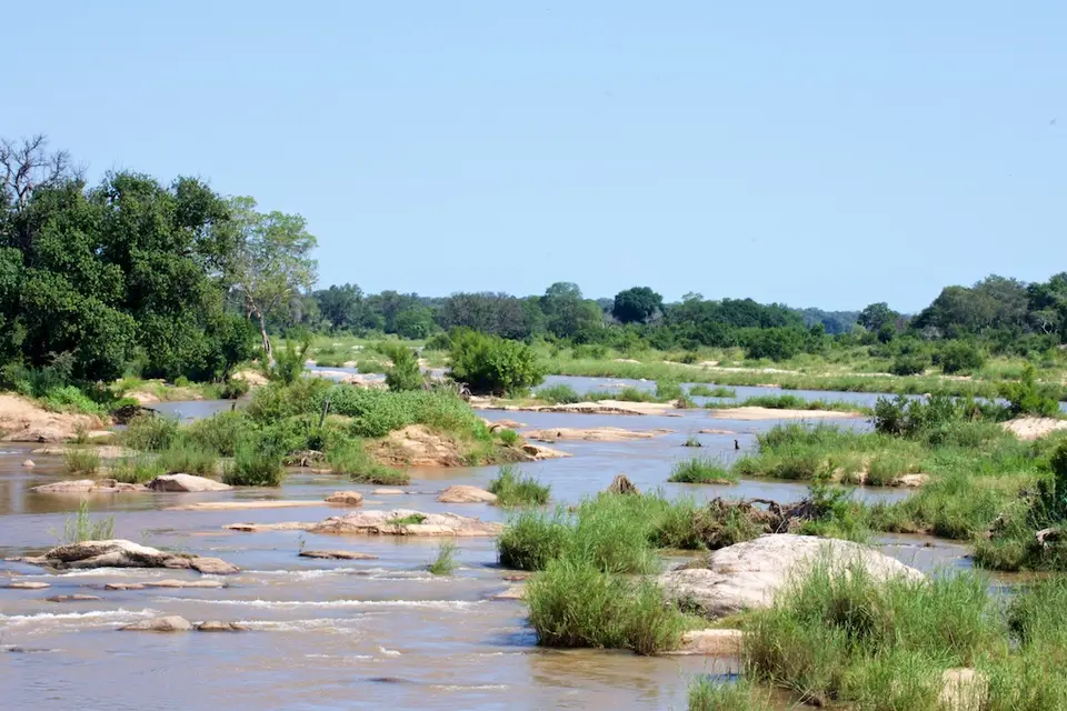 KNP098.jpg