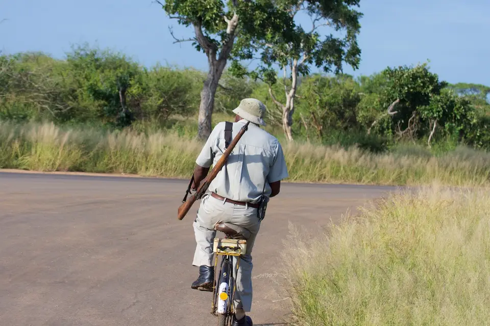KNP103.jpg