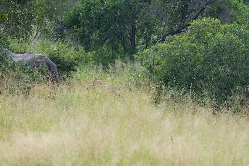 KNP108.jpg