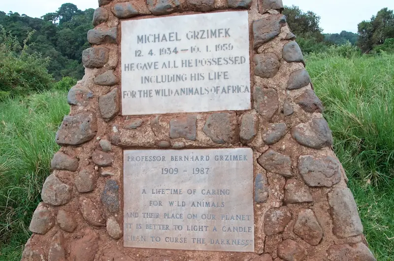 NCA289.jpg