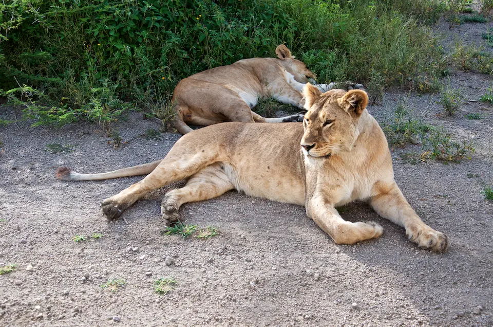 NSL_3.-L_1390.jpg