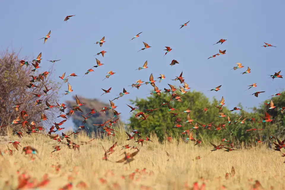 Namibia20212162.jpg