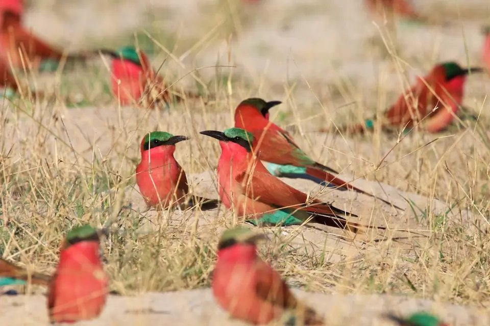 Namibia20212163.jpg