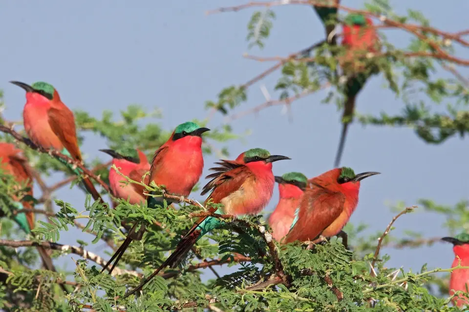 Namibia20212164.jpg
