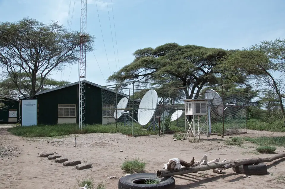 Ndutu297.jpg