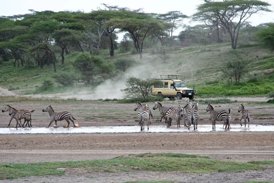 S.Serengeti-L1457.jpg