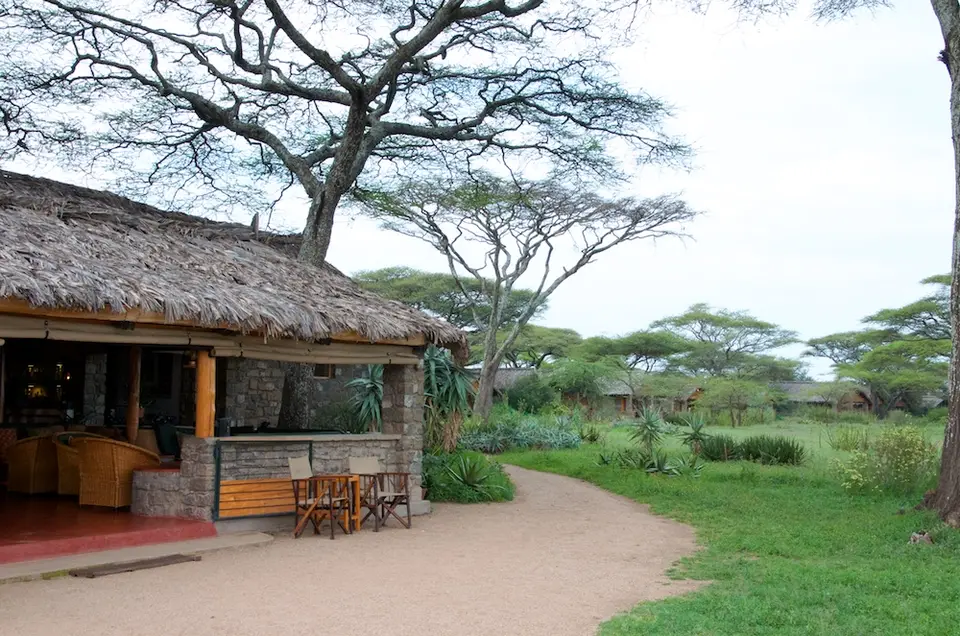 S.Serengeti444.jpg