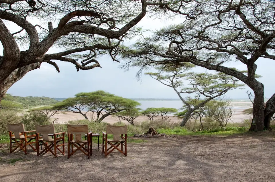 S.Serengeti483.jpg