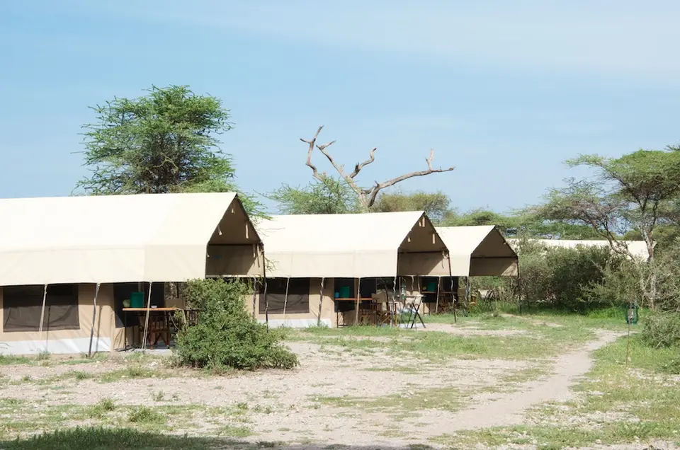 S.Serengeti484.jpg