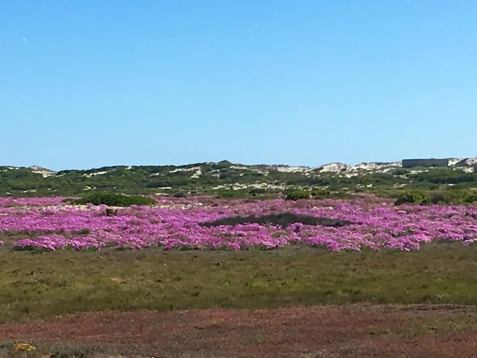SA16_13092.jpg