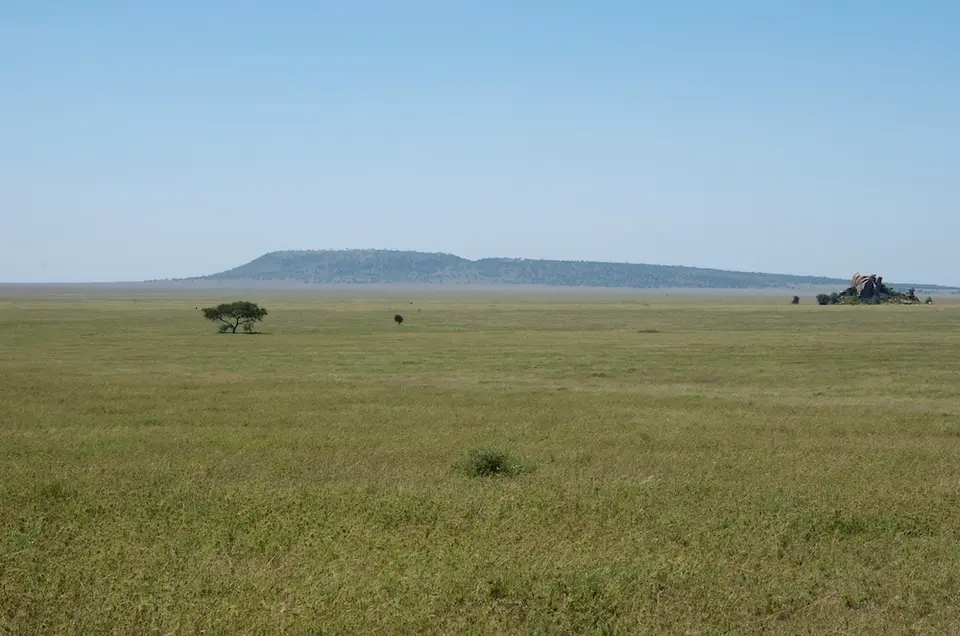 Serengeti556.jpg