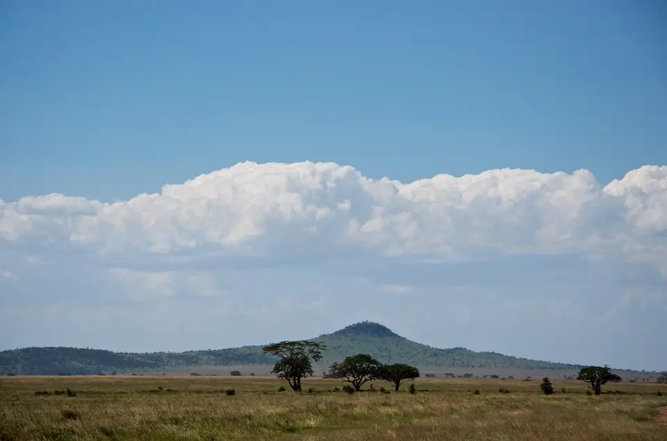 Serengeti571.jpg