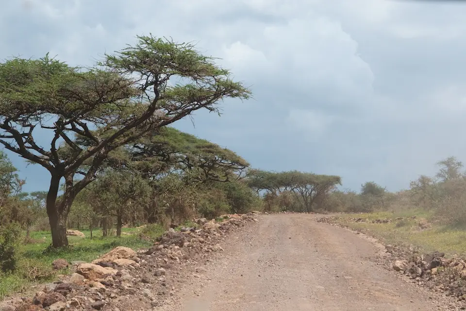 Serengeti690.jpg