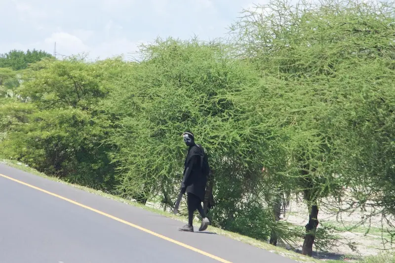 Tarangire272.jpg