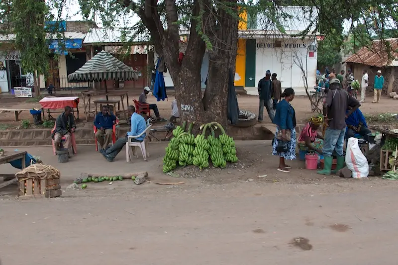 Tarangire275(1).jpg