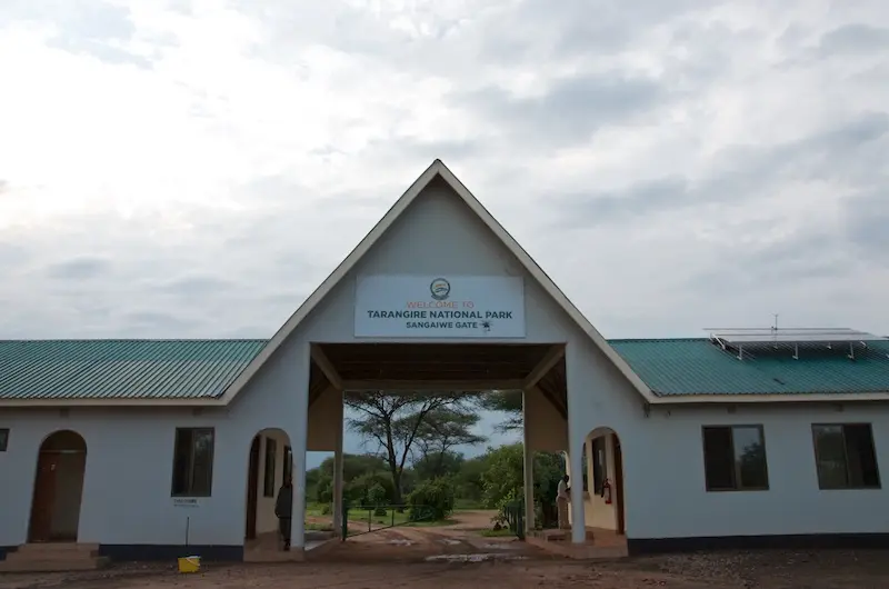 Tarangire316.jpg