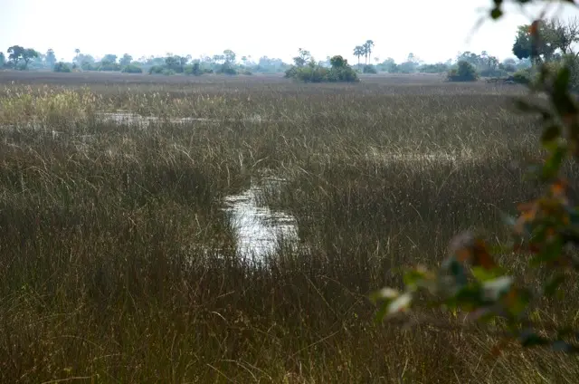 h5087516.jpg