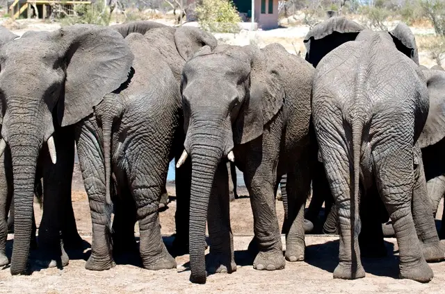 h74b2efc.jpg