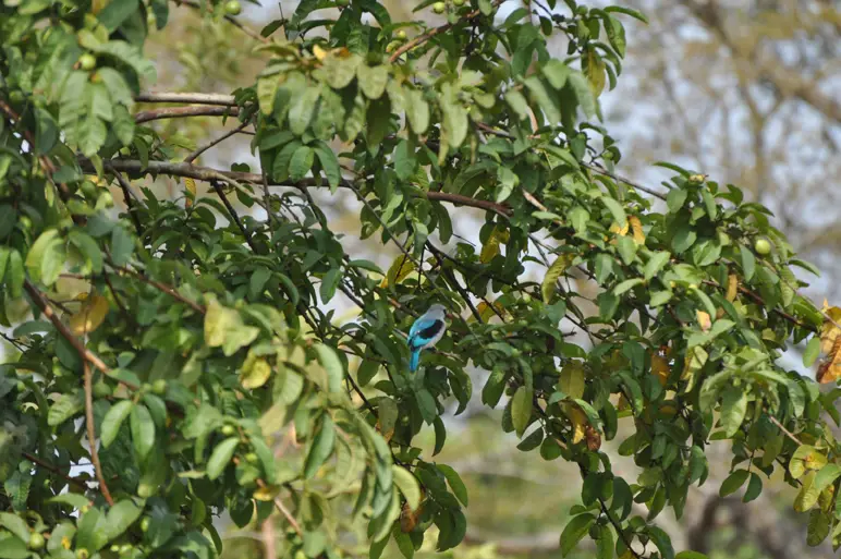 DSC_0457.jpg