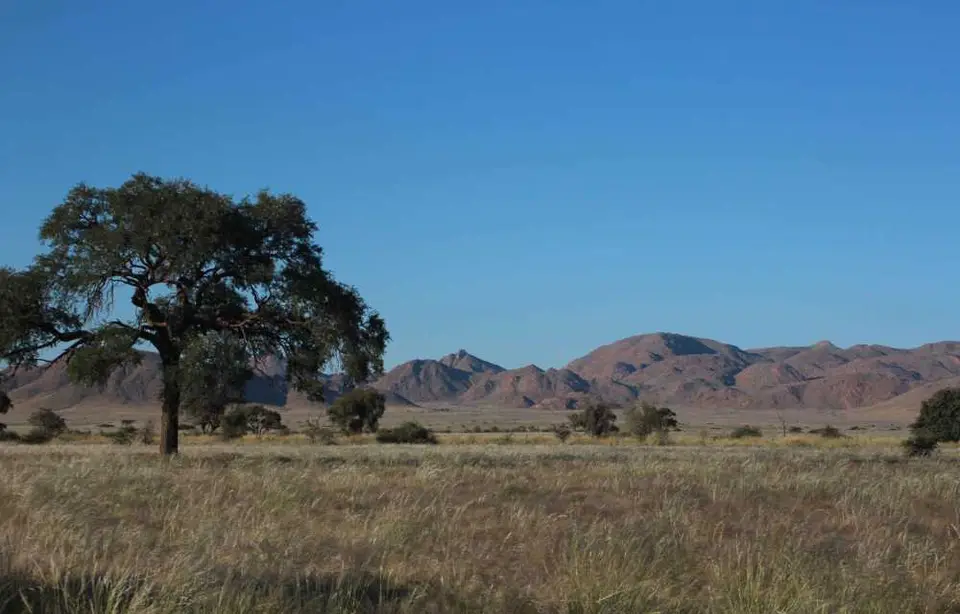 019aBilckvonderTerasseNamibDesertLodge.jpg