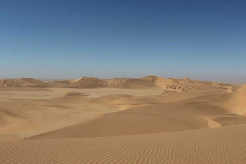 137LivingDesert.jpg