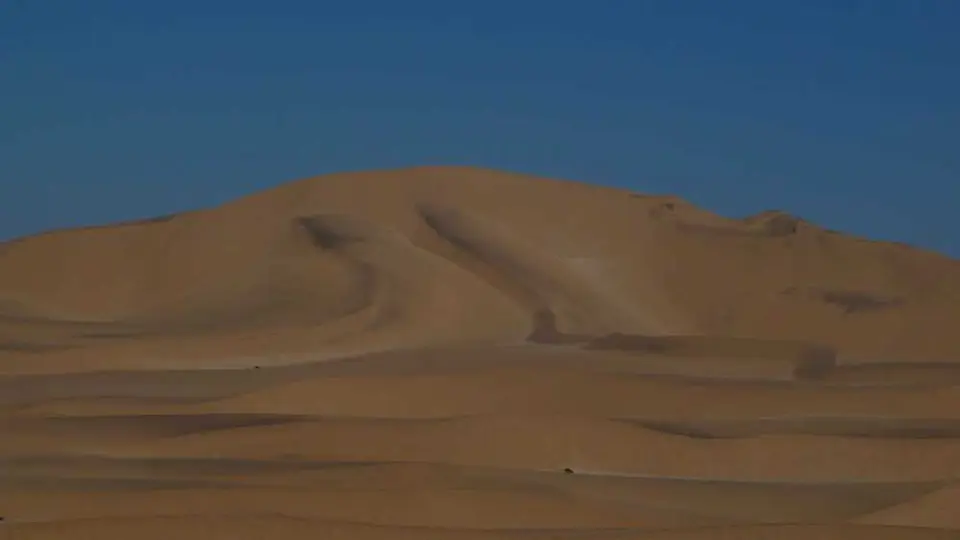 139LivingDesert.jpg