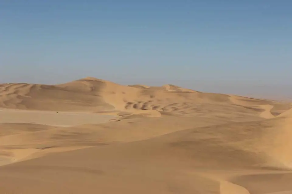140LivingDesert.jpg