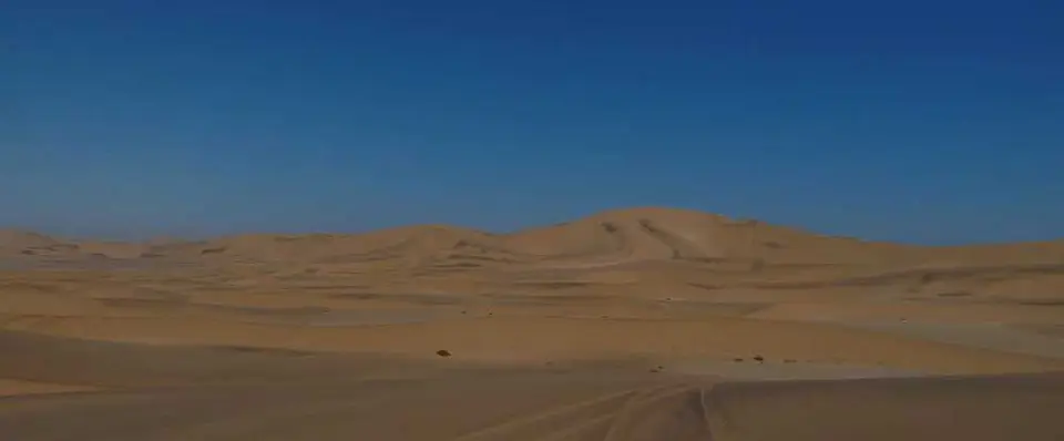 142LivingDesert.jpg