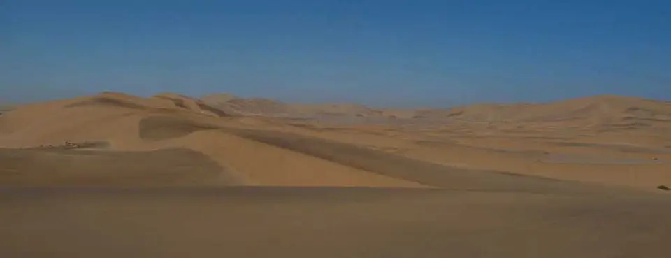 143LivingDesert.jpg
