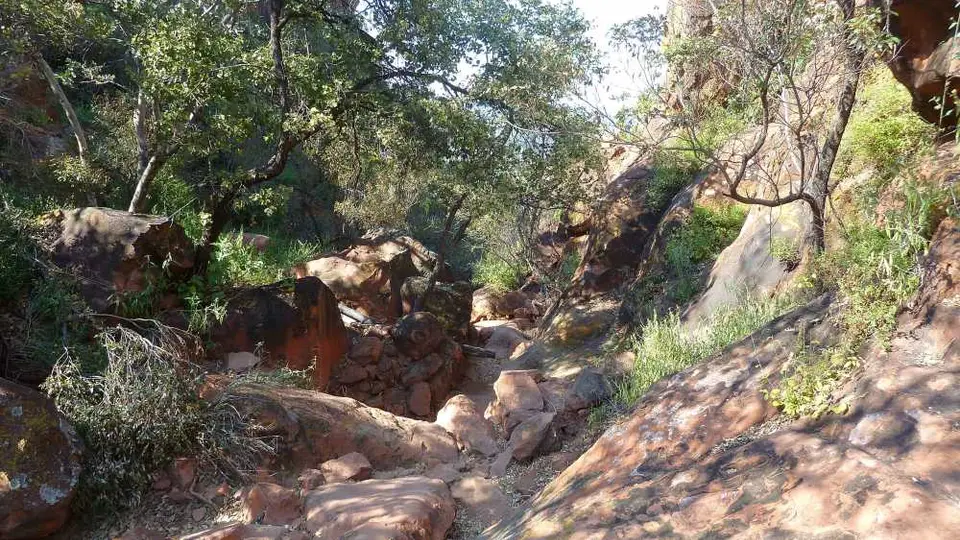 307Waterberg.jpg