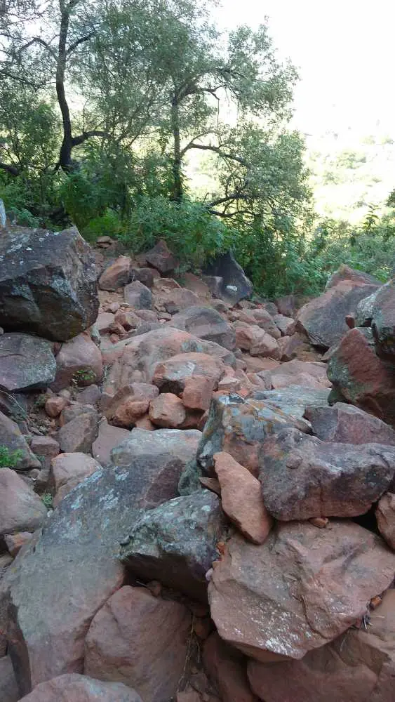 308Waterberg.jpg