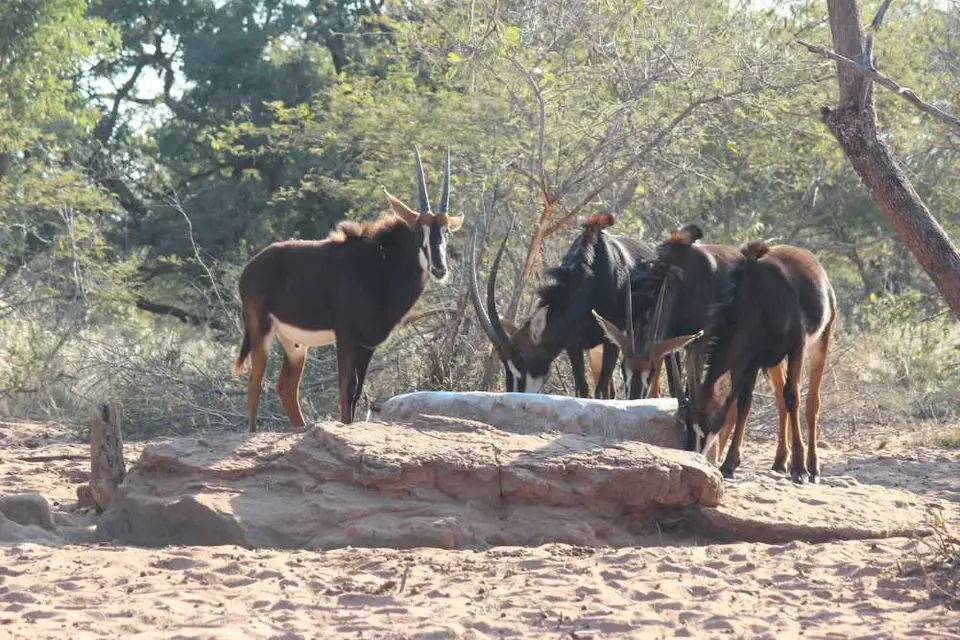 321Waterberg.jpg