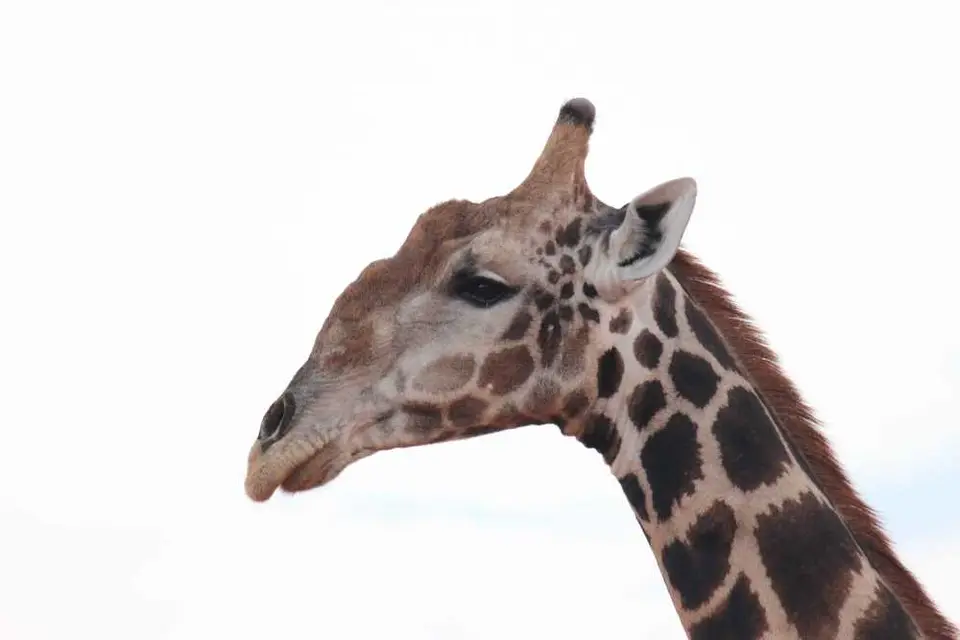 332Waterberg.jpg