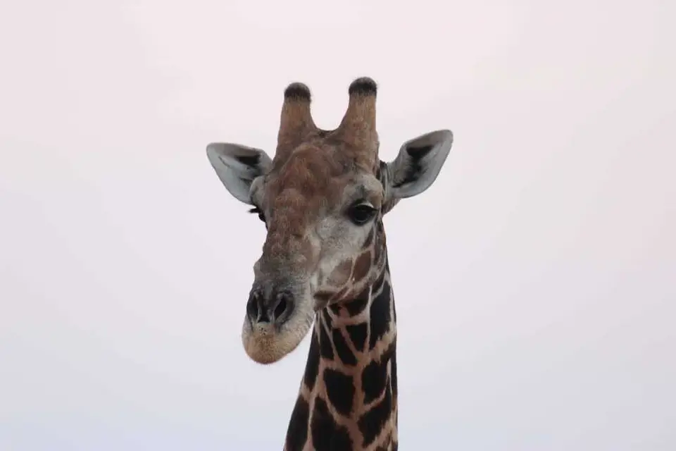 335Waterberg.jpg