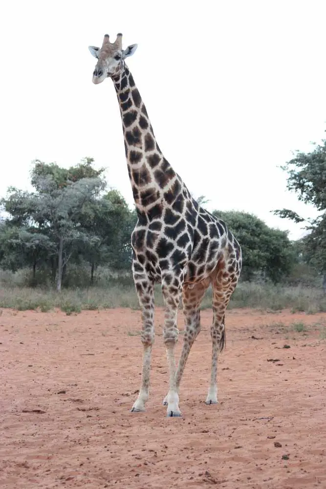 337Waterberg.jpg