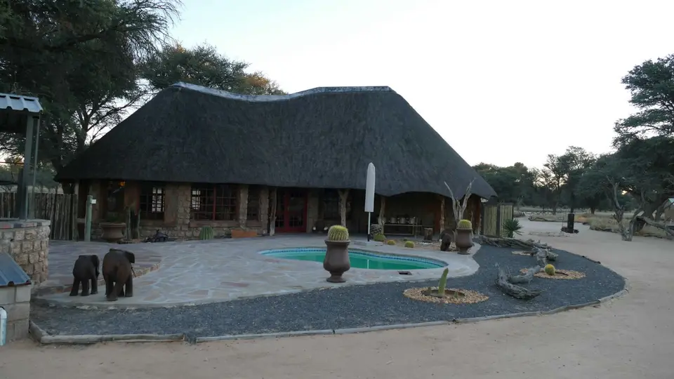 P1000991.jpg