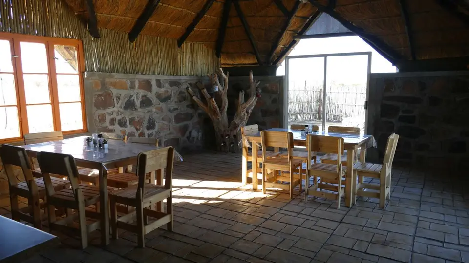P1010028.jpg