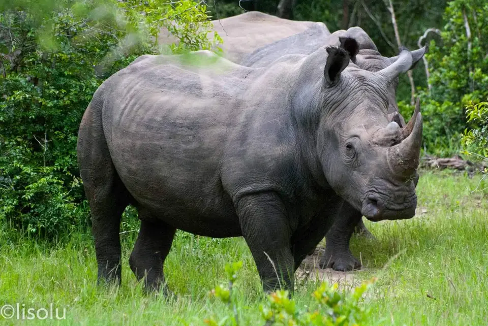 Tembe2012_112.jpg