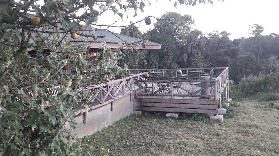 20171006_182917.jpg