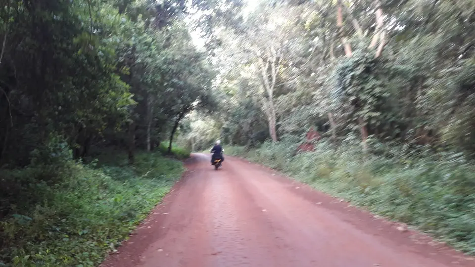 20191009_181019.jpg
