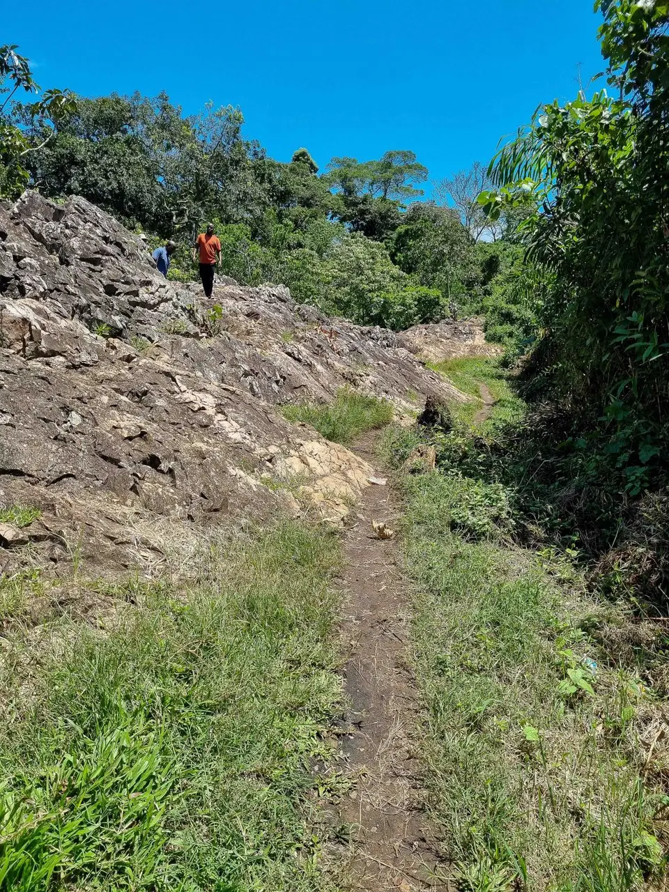 20241017_113548-2.JPG