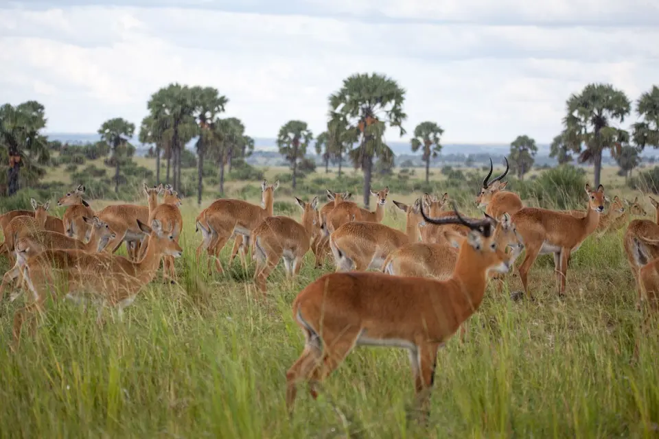 Privat(306von345).jpg