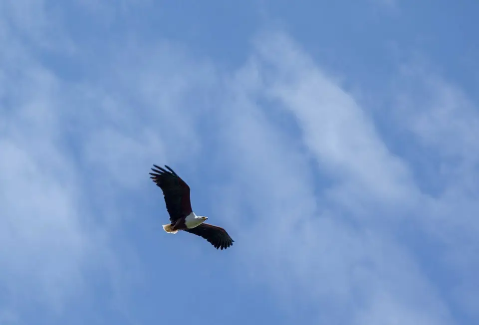 _MG_0078.jpg