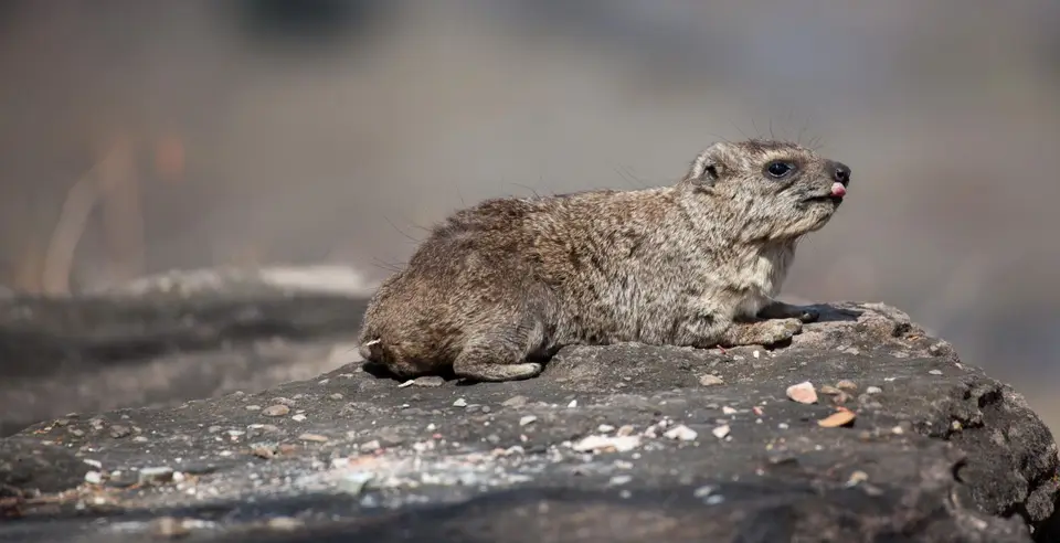 _MG_0588.jpg