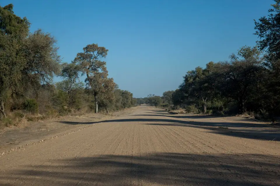 _MG_1873.jpg