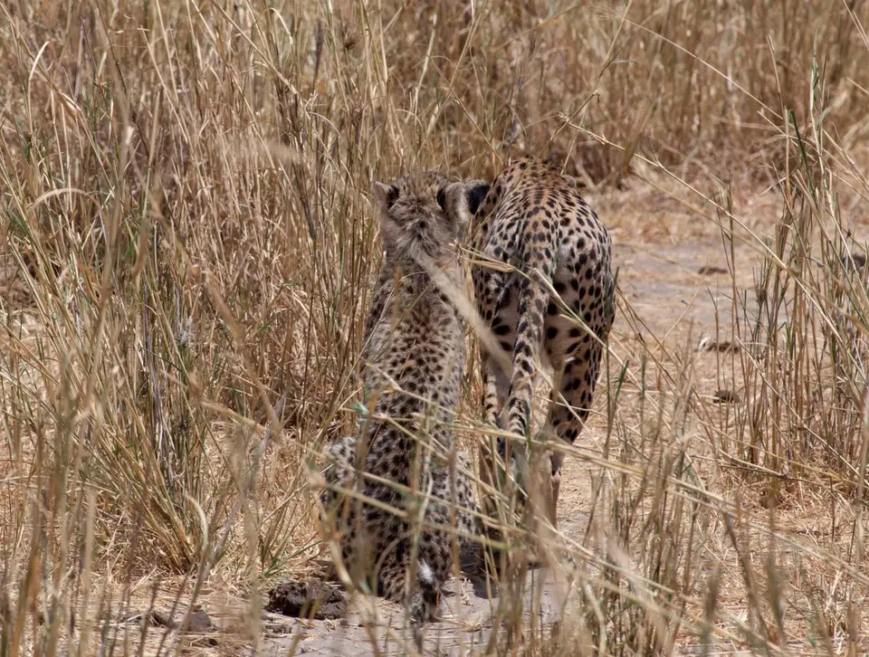 _MG_8503_bearbeitet-2.jpg