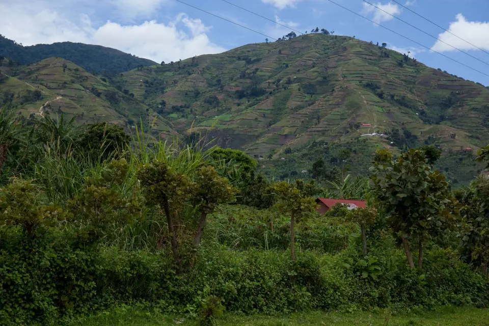 _MG_9850.jpg